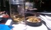IMAG0439.jpg