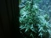 08251301.jpg