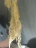 IMG_20110818_203708.jpg
