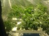 IMG_20110818_221121.jpg