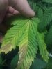IMG_20110824_175151.jpg