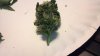 2011-08-27_14-56-16_983.jpg