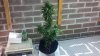 2011-08-27_16-13-54_548.jpg