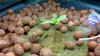 2011-08-27_21-22-55_692 DAY 12.JPG