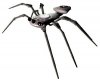 05_0208 bae_spider.jpg