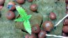 2011-08-29_12-17-49_684 DAY 14.JPG