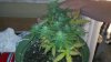 2011-08-29_13-37-34_631.jpg