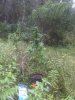 IMG00346-20110830-1321.jpg