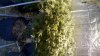 2011-08-31_01-08-45_852.jpg 2011-08-31_01-08-45_852.jpg