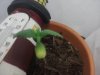 Image08312011005434.jpg