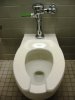 Dual-Flush-Toilet2.jpg