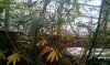 IMAG0163.jpg