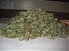 104032d1208537404t-ten-seeds-90-days-priceless-img_0373.jpg