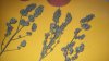 100_1576.jpg