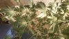 100_0134.jpg