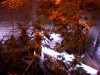 DSCN0616.jpg