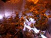 DSCN0617.jpg