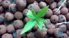 2011-09-06_15-20-09_252 DAY 22.JPG