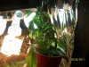 100_0809.jpg