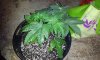 2011-09-07 08.09.53.jpg