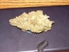 DSCN0622.jpg