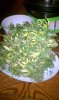 IMAG0526.jpg