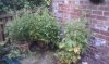 IMAG0124.jpg