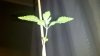 2011-09-06_15-53-33_916.jpg