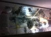 IMG_0164.jpg IMG_0164.jpg