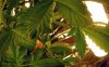 DSCN2618.jpg