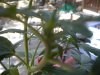 DSCN2745.jpg