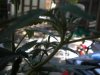 DSCN2746.jpg