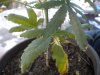 DSCN2748.jpg