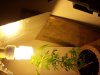2011-09-11 01.46.53.jpg