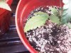 IMG-20110912-00096.jpg