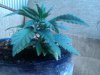 IMG_19800217_102003.jpg