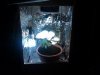 IMG_19800217_185803.jpg