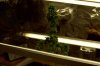 100_0456.jpg
