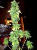 100_0467.jpg