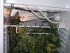 100_2904.JPG