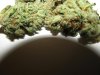 OG_KUSH_2.jpg OG_KUSH_2.jpg