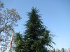 IMG_3876.jpg