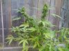 2011-09-13 14.48.37.jpg