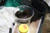 Soak in water 9-13-2011 4-14-34 PM.jpg