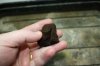 Slit in Rapid Rooter 9-13-2011 4-14-25 PM.jpg