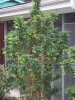 100_4289.jpg