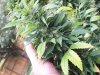 100_4293.jpg