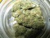 Sour D.jpg