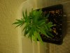 DSC01839.jpg