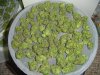 DSC00296.jpg
